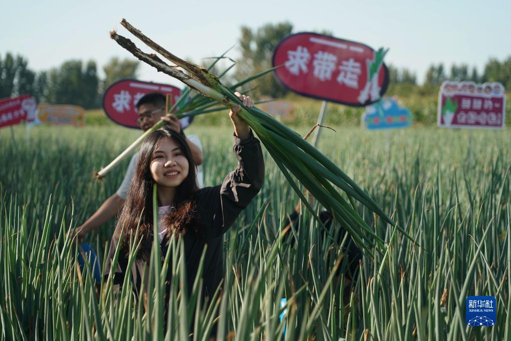 u乐登陆